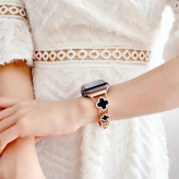 قیمت و خرید بند استیل اپل واچ زنانه ونکلیف استیل لوکس | سایزبندی کامل Apple Watch در چهار رنگ از دیجی اکسس